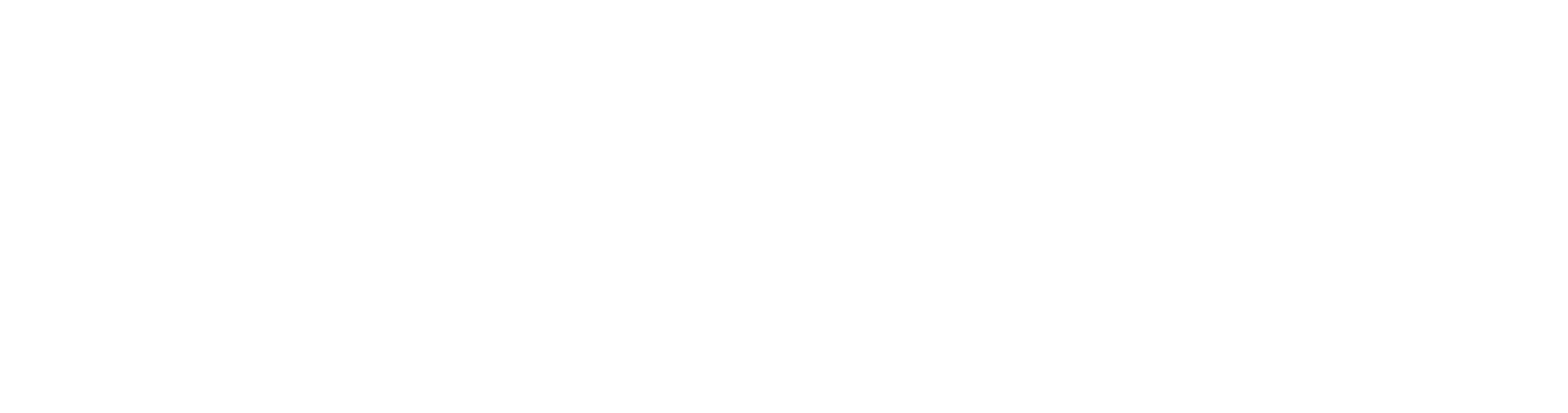 Aesthetic Arts Academy